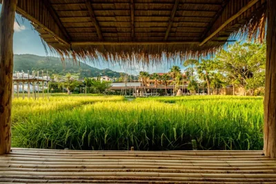 Naina Resort & Spa – Foto’s 7